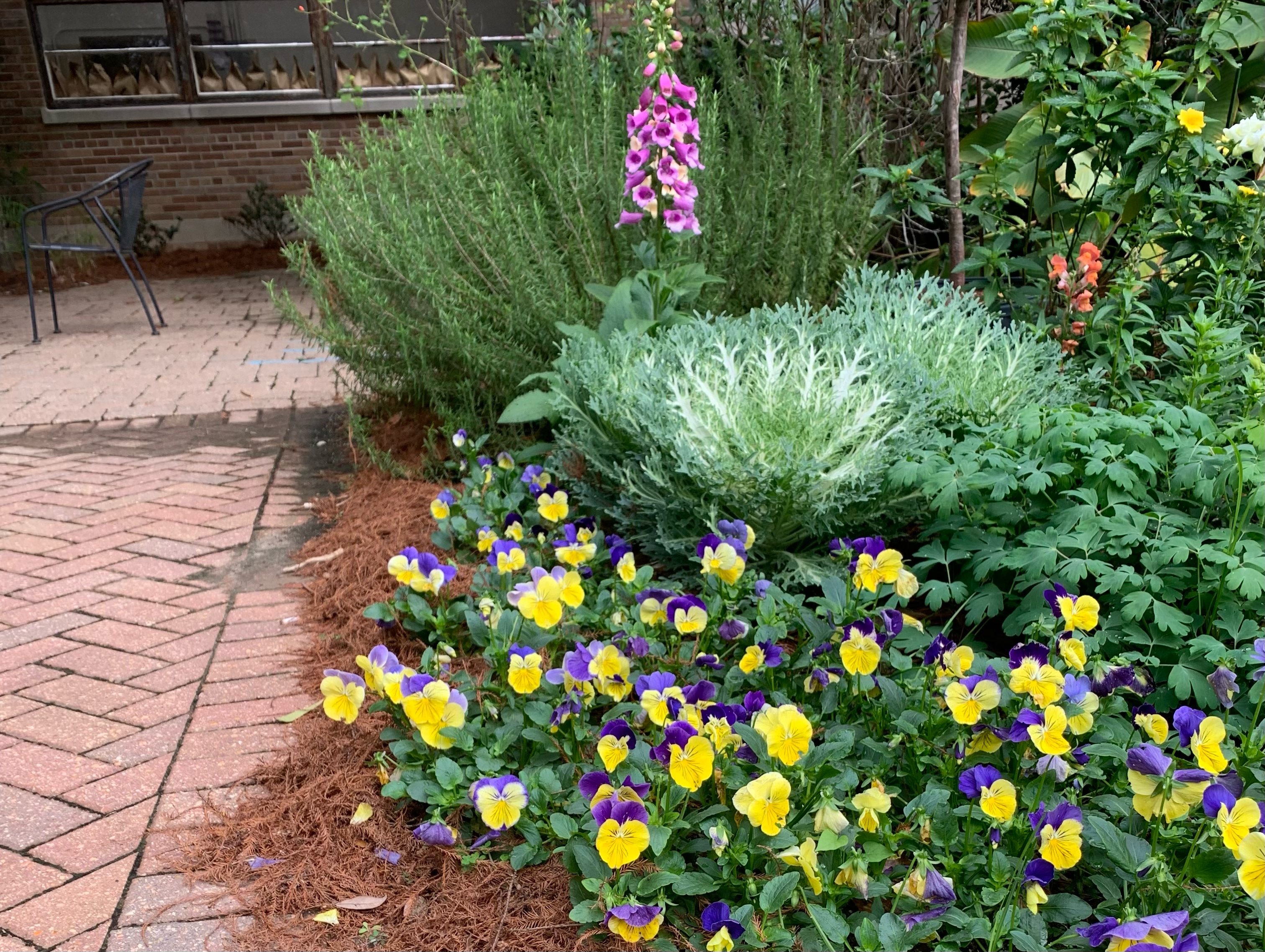 ‘Get It Growing’ this winter